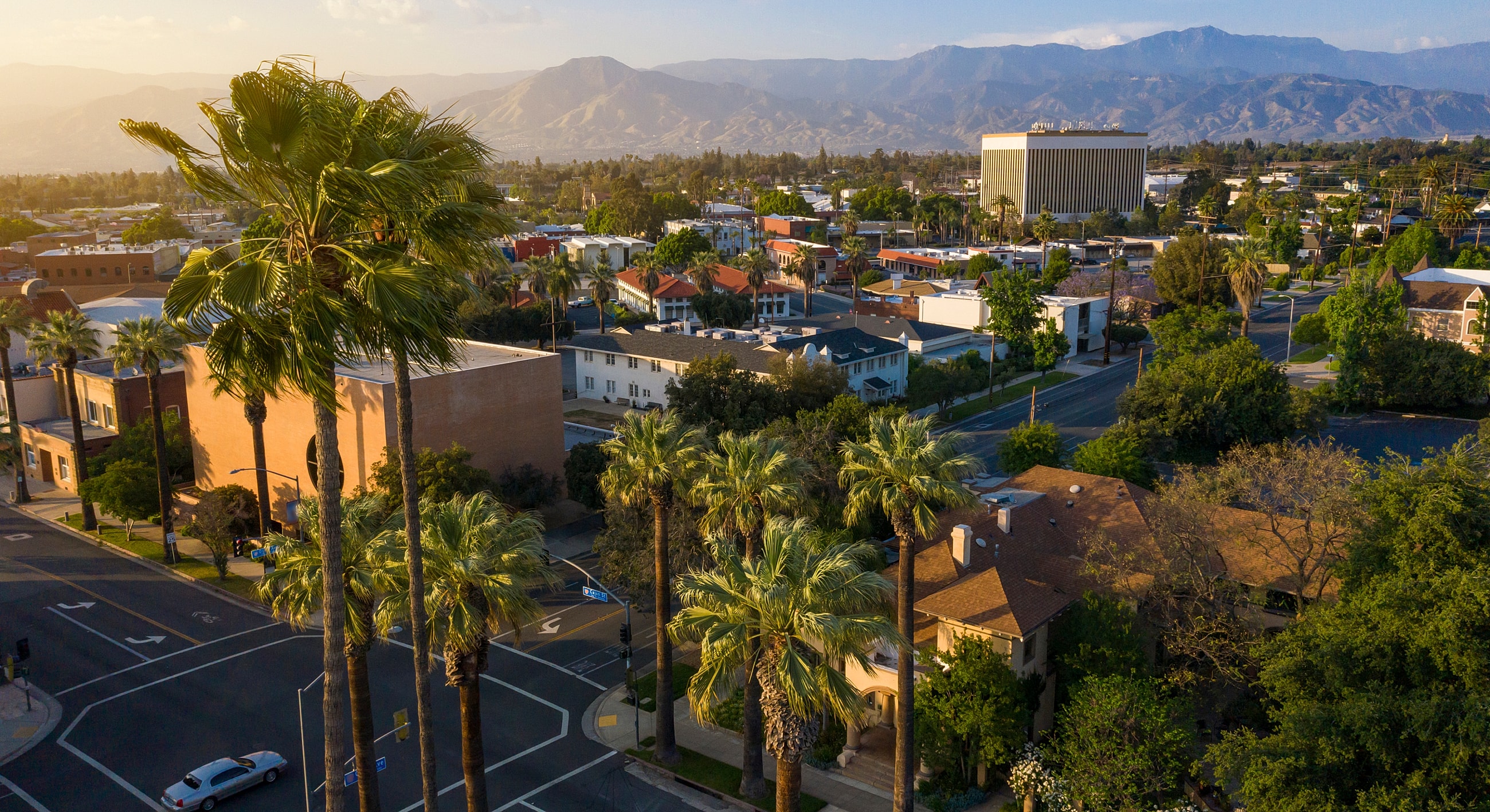 Aerial view of city with palm trees